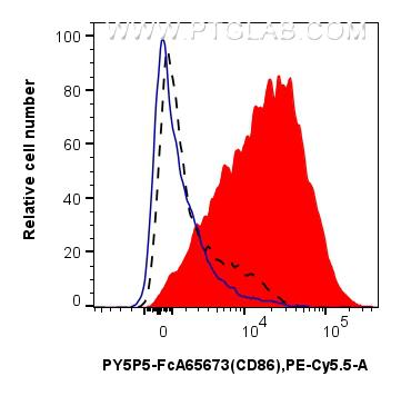 FC experiment of mouse splenocytes using PY5P5-FcA65673 FC experiment of mouse splenocytes using PY5P5-FcA65673