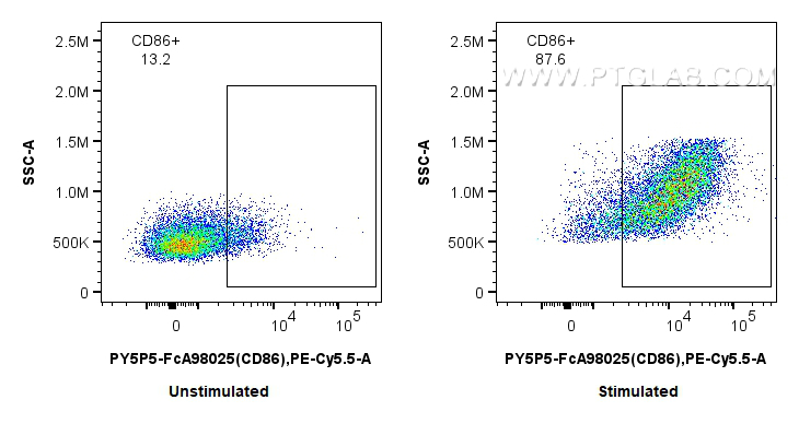 FC experiment of mouse splenocytes using PY5P5-FcA98025 FC experiment of mouse splenocytes using PY5P5-FcA98025