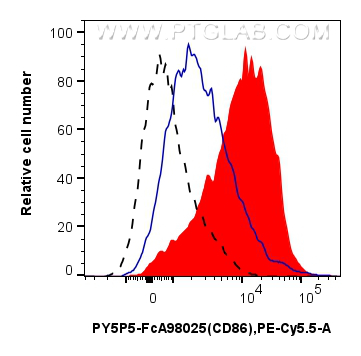 FC experiment of mouse splenocytes using PY5P5-FcA98025 FC experiment of mouse splenocytes using PY5P5-FcA98025