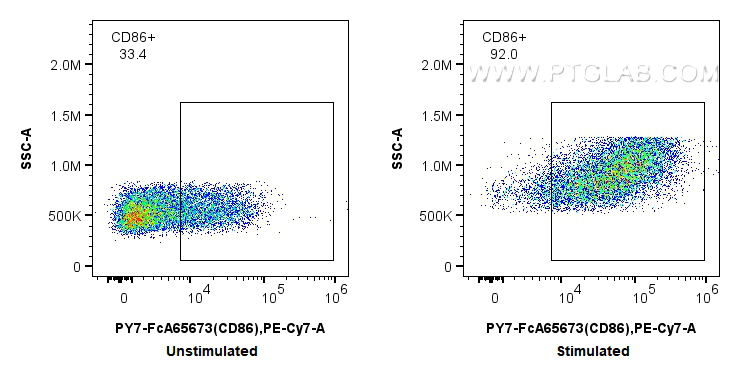 FC experiment of mouse splenocytes using PY7-FcA65673 FC experiment of mouse splenocytes using PY7-FcA65673