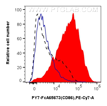 FC experiment of mouse splenocytes using PY7-FcA65673 FC experiment of mouse splenocytes using PY7-FcA65673