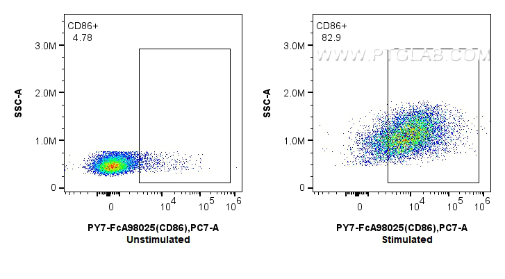 FC experiment of mouse splenocytes using PY7-FcA98025