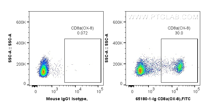 FC experiment of wistar rat splenocytes using 65180-1-Ig