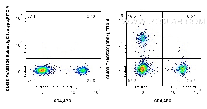 FC experiment of mouse splenocytes using CL488-FcA65666 FC experiment of mouse splenocytes using CL488-FcA65666