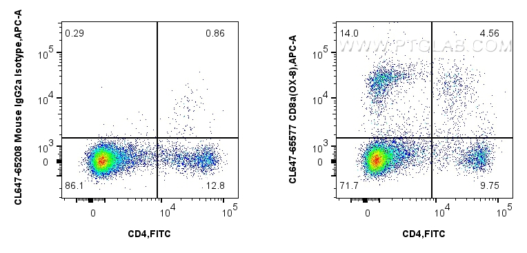 1x10^6 rat splenocytes were surface stained with FITC Plus Anti-Rat CD4, and 0.25 ug CoraLite® Plus 647 Anti-Rat CD8a (OX-8) Mouse IgG2a RecAb (CL647-65577, Clone: OX-8) or CoraLite® Plus 647 Mouse IgG2a Isotype Control (C1.18.4) (<a class='green' href='/productredirect?CatalogNo=CL647-65208' target='_blank'>CL647-65208</a>, Clone: C1.18.4). Cells were not fixed. FC experiment of rat splenocytes using CL647-65577