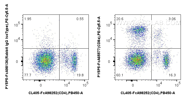 FC experiment of rat splenocytes using PY5P5-FcA65577 FC experiment of rat splenocytes using PY5P5-FcA65577