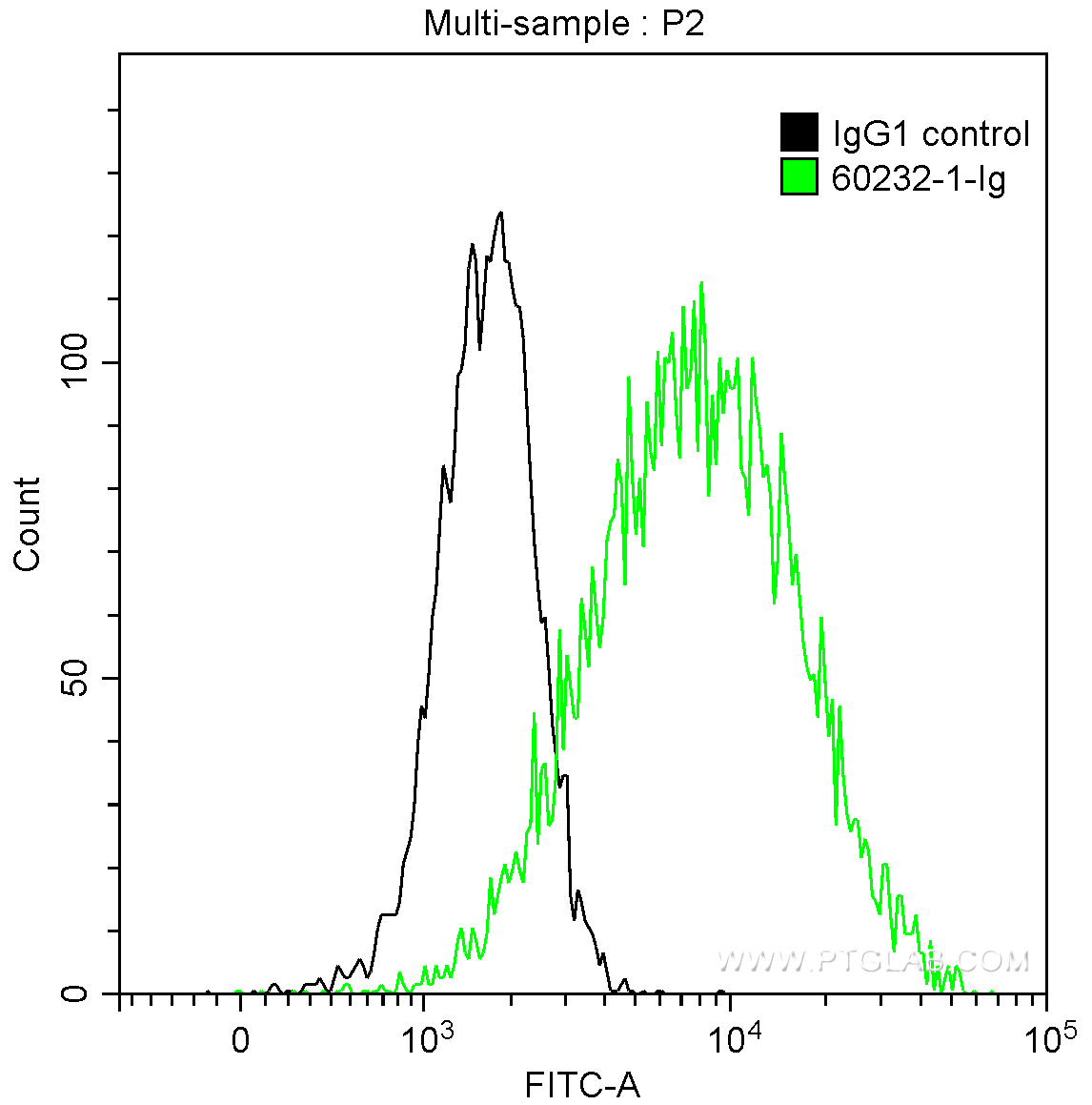 FC experiment of HeLa using 60232-1-Ig