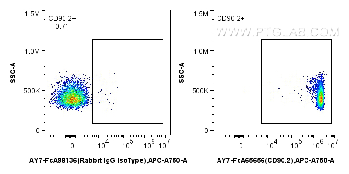 FC experiment of mouse thymocytes using AY7-FcA65656