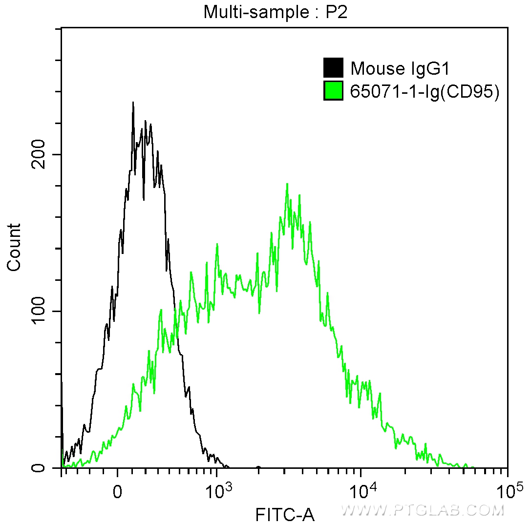 FC experiment of human peripheral blood lymphocytes using 65071-1-Ig