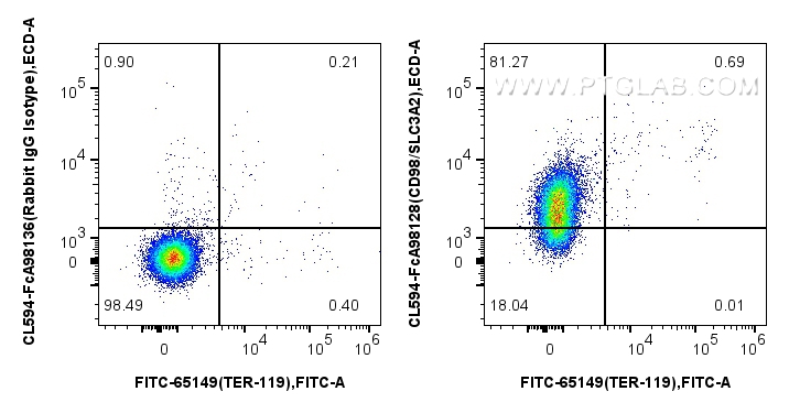 FC experiment of mouse splenocytes using CL594-FcA98128 FC experiment of mouse splenocytes using CL594-FcA98128