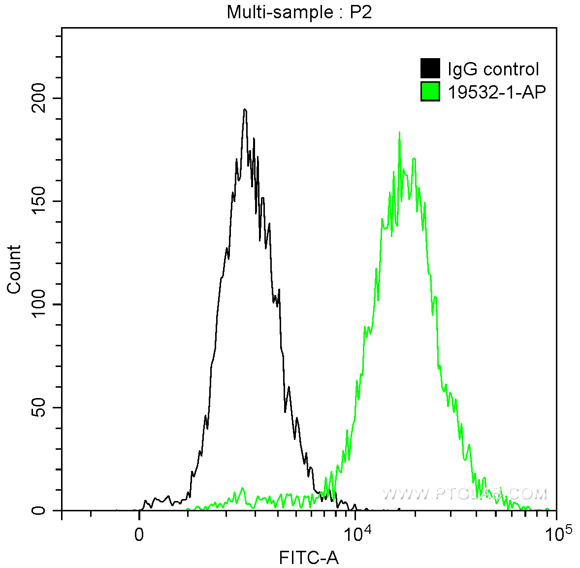 CDK1-Specific