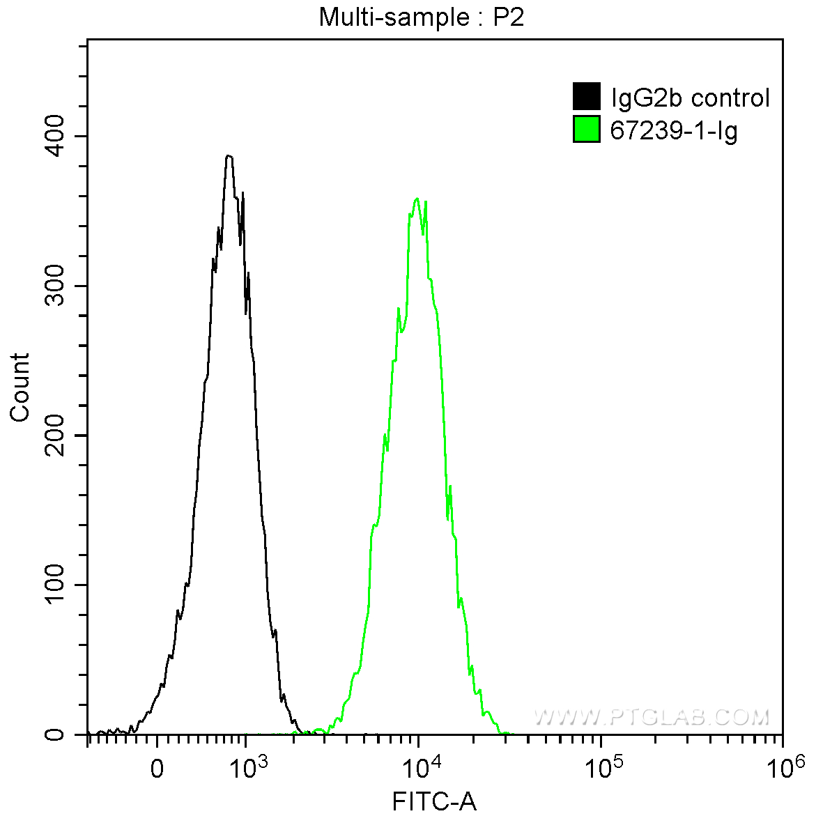 CDC27; APC3