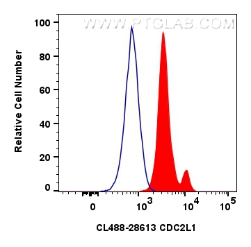 FC experiment of HeLa using CL488-28613
