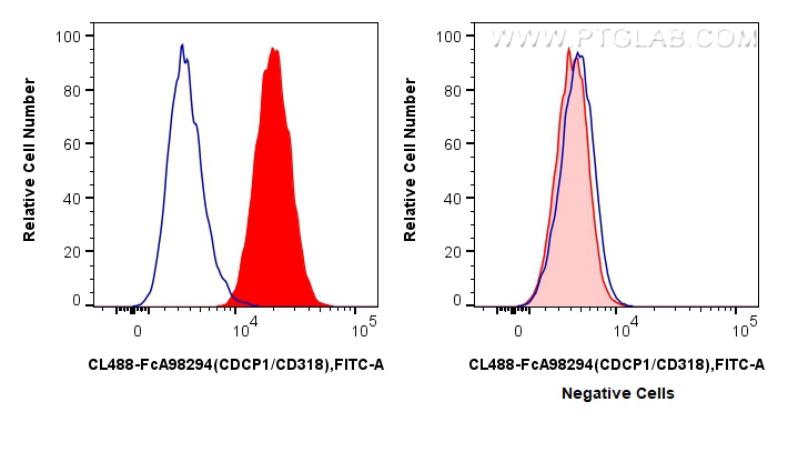 FC experiment of HT-29 using CL488-FcA98294