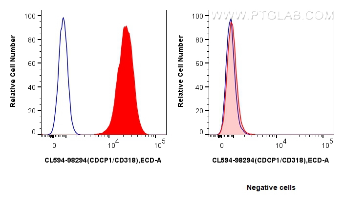 1x10^6 HT-29 cells (left) or MCF-7 cells (right) were surface stained with 5 ul CoraLite®594 Anti-Human CDCP1/CD318 Rabbit RecAb (CL594-98294, Clone: 242428F9) (red) or CoraLite®594 Rabbit IgG Isotype Control RecAb (<a class='green' href='/productredirect?CatalogNo=CL594-98136' target='_blank'>CL594-98136</a>, Clone: 240953C9) (blue). Cells were not fixed. FC experiment of HT-29 using CL594-98294