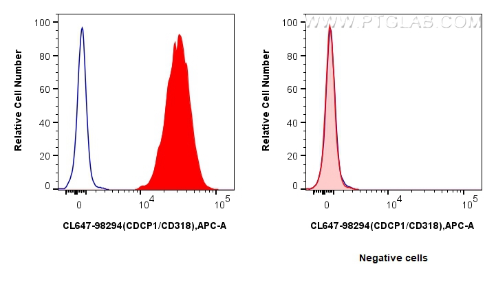 1x10^6 HT-29 cells (left) or MCF-7 cells (right) were surface stained with 5 ul CoraLite® Plus 647 Anti-Human CDCP1/CD318 Rabbit RecAb (CL647-98294, Clone: 242428F9) (red) or CoraLite® Plus 647 Rabbit IgG Isotype Control RecAb (<a class='green' href='/productredirect?CatalogNo=CL647-98136' target='_blank'>CL647-98136</a>, Clone: 240953C9) (blue). Cells were not fixed. FC experiment of HT-29 using CL647-98294