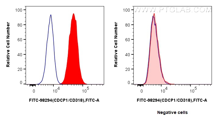 1x10^6 HT-29 cells (left) or MCF-7 cells (right) were surface stained with 5 ul FITC Plus Anti-Human CDCP1/CD318 Rabbit RecAb (FITC-98294, Clone: 242428F9) (red) or FITC Plus Rabbit IgG Isotype Control RecAb (<a class='green' href='/productredirect?CatalogNo=FITC-98136' target='_blank'>FITC-98136</a>, Clone: 240953C9) (blue). Cells were not fixed. FC experiment of HT-29 using FITC-98294