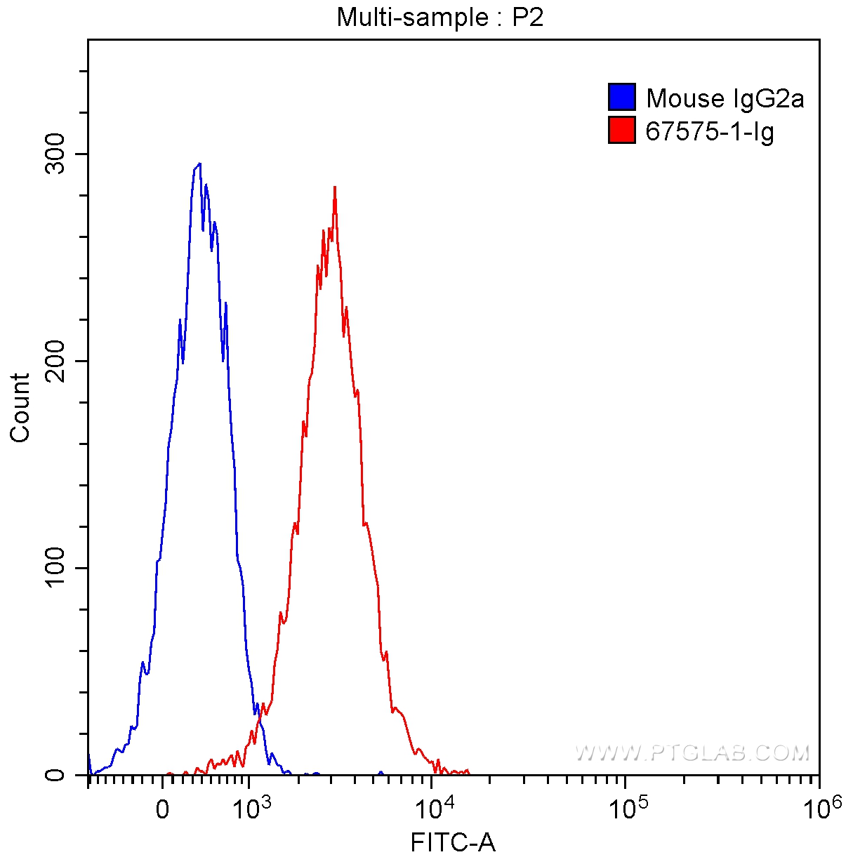 FC experiment of HeLa using 67575-1-Ig