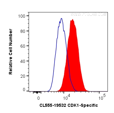 CDK1-Specific