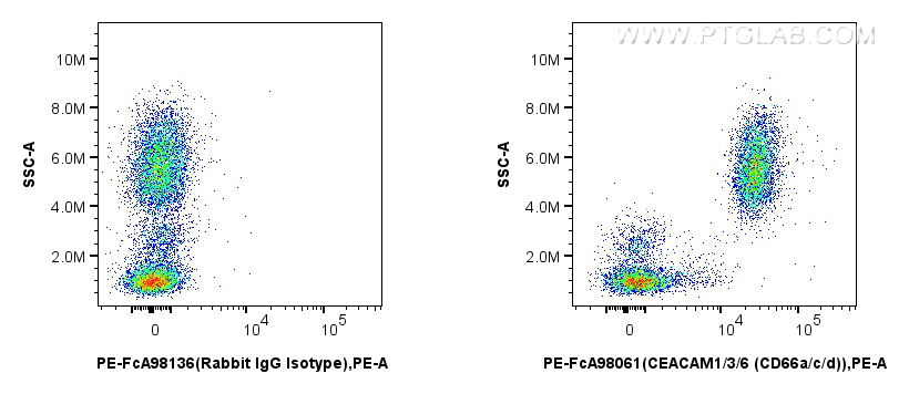 FC experiment of human peripheral blood leukocytes using PE-FcA98061