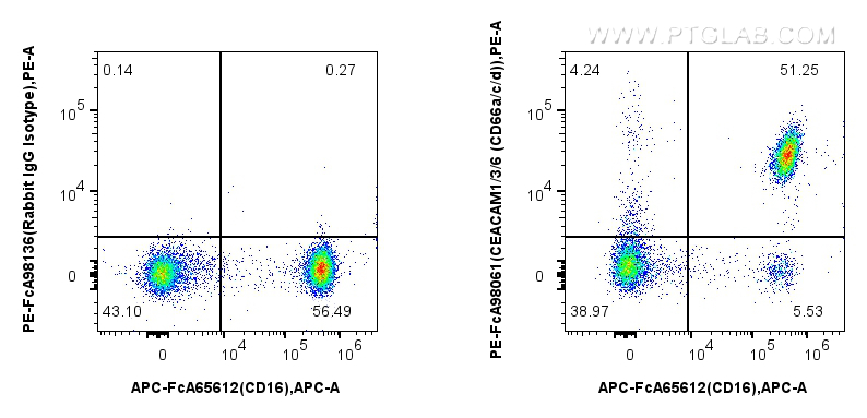FC experiment of human peripheral blood leukocytes using PE-FcA98061