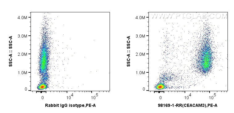 FC experiment of human peripheral blood leukocytes using 98169-1-RR (same clone as 98169-1-PBS)