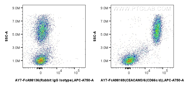 FC experiment of human peripheral blood leukocyte using AY7-FcA98169 FC experiment of human peripheral blood leukocyte using AY7-FcA98169