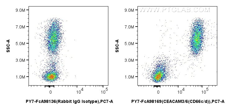 FC experiment of human peripheral blood leukocyte using PY7-FcA98169 FC experiment of human peripheral blood leukocyte using PY7-FcA98169