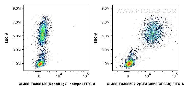 FC experiment of human peripheral blood leukocytes using CL488-FcA98507-2
