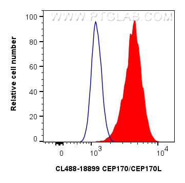 FC experiment of HeLa using CL488-18899