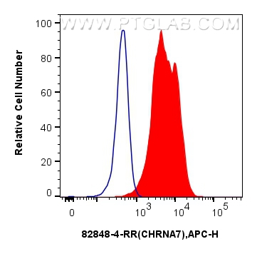 FC experiment of SH-SY5Y using 82848-4-RR