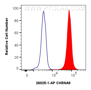 1x10^6 Jurkat cells were intracellularly stained with 0.25 ug CHRNA9 Polyclonal antibody (26025-1-AP) and CoraLite®488-Conjugated Goat Anti-Rabbit IgG(H+L) (<a class='green' href='/productredirect?CatalogNo=SA00013-2' target='_blank'>SA00013-2</a>)(red), or 0.25 ug Isotype Control (blue). Cells were fixed and permeabilized with Intracellular Flow Cytometry Fixation & Permeabilization Buffer Kit (<a class='green' href='/productredirect?CatalogNo=PF00019' target='_blank'>PF00019</a>). FC experiment of Jurkat using 26025-1-AP