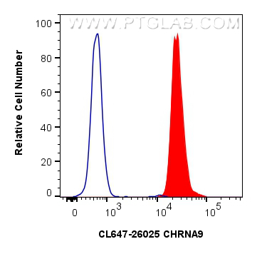 1x10^6 Jurkat cells were intracellularly stained with 0.4 ug CoraLite® Plus 647-conjugated CHRNA9 Polyclonal antibody (CL647-26025)(red), or 0.4 ug Isotype Control (blue). Cells were fixed and permeabilized with Intracellular Flow Cytometry Fixation & Permeabilization Buffer Kit (<a class='green' href='/productredirect?CatalogNo=PF00019' target='_blank'>PF00019</a>). FC experiment of Jurkat using CL647-26025