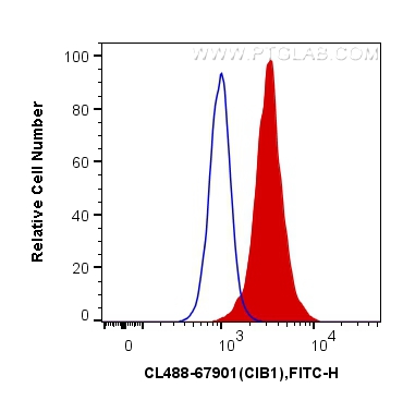 FC experiment of Jurkat using CL488-67901