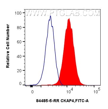 1x10^6 U2OS cells were intracellularly stained with 0.25 ug CKAP4 Recombinant monoclonal antibody (84485-5-RR, Clone:241871C5) and CoraLite®488-Conjugated Goat Anti-Rabbit IgG(H+L) (<a class='green' href='/productredirect?CatalogNo=SA00013-2' target='_blank'>SA00013-2</a>)(red), or 0.25 ug Rabbit IgG Isotype Control RecAb (<a class='green' href='/productredirect?CatalogNo=98136-1-RR' target='_blank'>98136-1-RR</a>, Clone: 240953C9) (blue). Cells were fixed and permeabilized with Intracellular Flow Cytometry Fixation & Permeabilization Buffer Kit (<a class='green' href='/productredirect?CatalogNo=PF00019' target='_blank'>PF00019</a>). FC experiment of U2OS using 84485-5-RR
