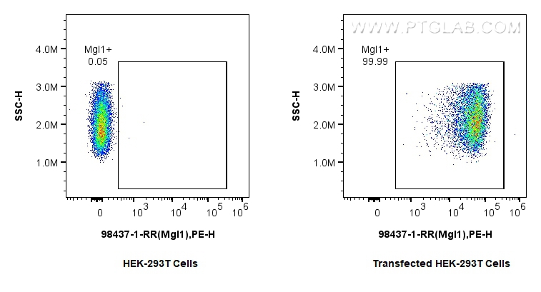 FC experiment of Transfected HEK-293T using 98437-1-RR