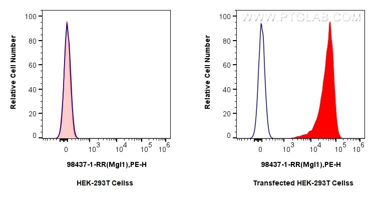 FC experiment of Transfected HEK-293T using 98437-1-RR