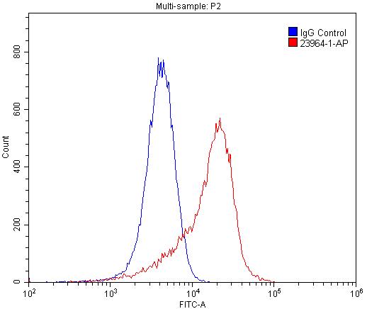 FC experiment of HUVEC using 23964-1-AP