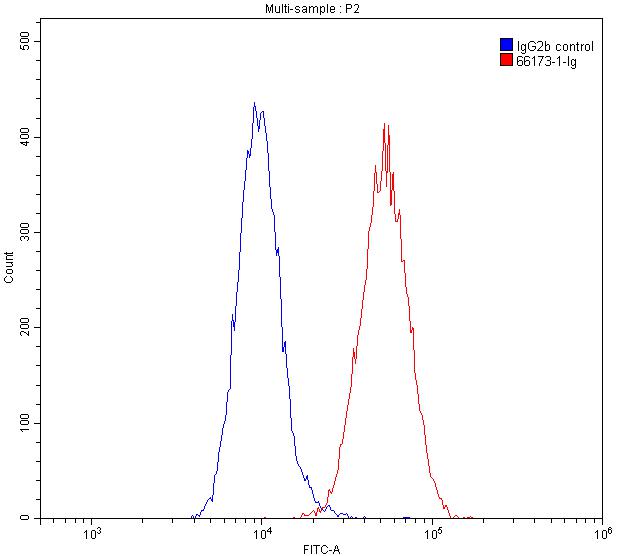 FC experiment of HepG2 using 66173-1-Ig