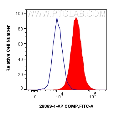 1x10^6 HepG2 cells were intracellularly stained with 0.25 ug COMP Polyclonal antibody (28369-1-AP) and CoraLite®488-Conjugated Goat Anti-Rabbit IgG(H+L) (<a class='green' href='/productredirect?CatalogNo=SA00013-2' target='_blank'>SA00013-2</a>)(red), or 0.25 ug Isotype Control (blue). Cells were fixed with 4% PFA and permeabilized with Flow Cytometry Perm Buffer (<a class='green' href='/productredirect?CatalogNo=PF00017' target='_blank'>PF00017</a>). FC experiment of HepG2 using 28369-1-AP
