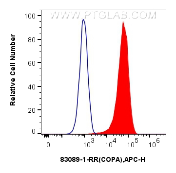 FC experiment of HeLa using 83089-1-RR (same clone as 83089-1-PBS)