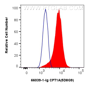 FC experiment of HeLa using 66039-1-Ig (same clone as 66039-1-PBS)