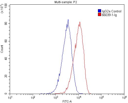 FC experiment of HeLa using 66039-1-Ig (same clone as 66039-1-PBS)