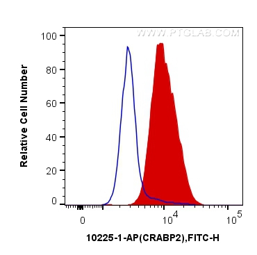 FC experiment of MCF-7 using 10225-1-AP