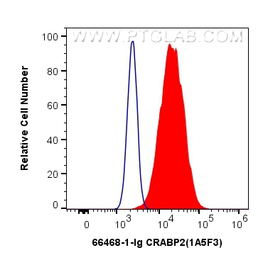 FC experiment of MCF-7 using 66468-1-Ig