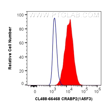 FC experiment of MCF-7 using CL488-66468