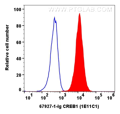FC experiment of Jurkat using 67927-1-Ig