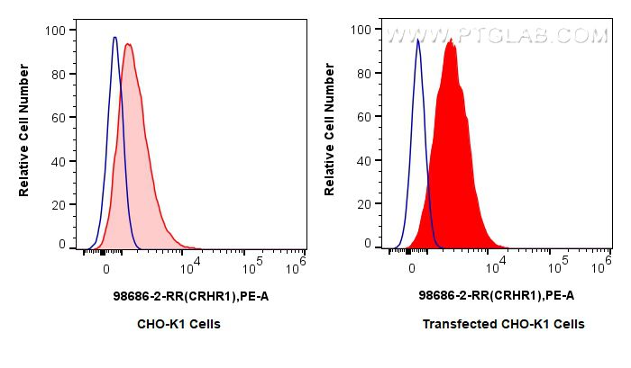 FC experiment of Transfected CHO-K1 using 98686-2-RR