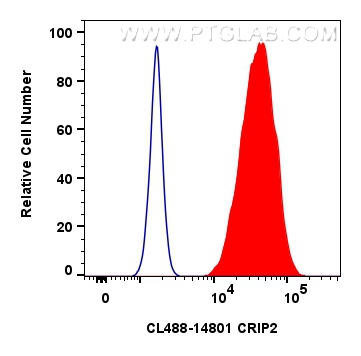 FC experiment of hela using CL488-14801