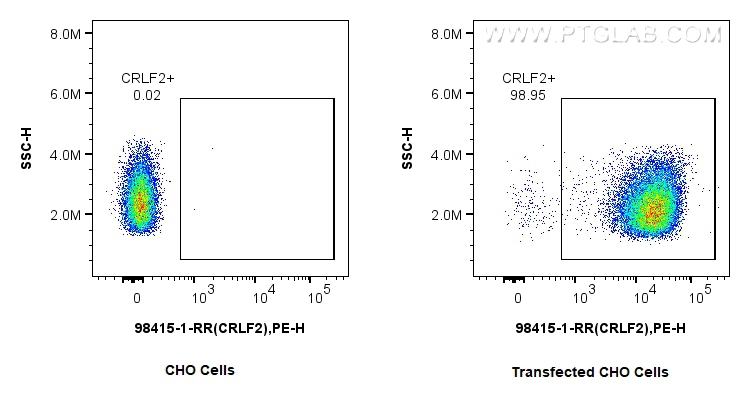 FC experiment of Transfected CHO using 98415-1-RR